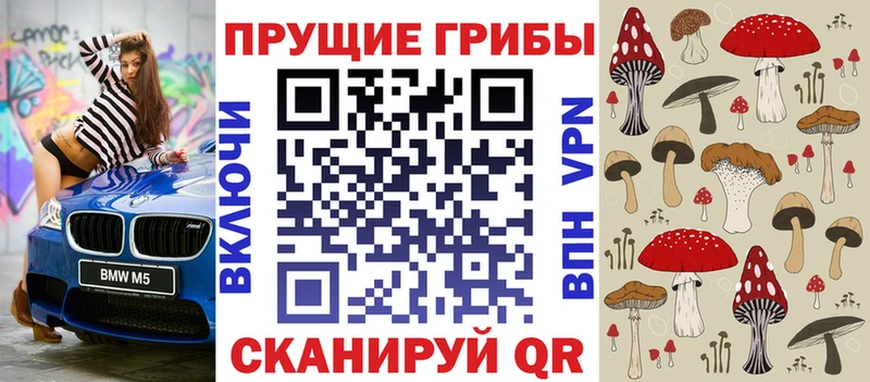 Галлюциногенные грибы Cubensis Сарапул
